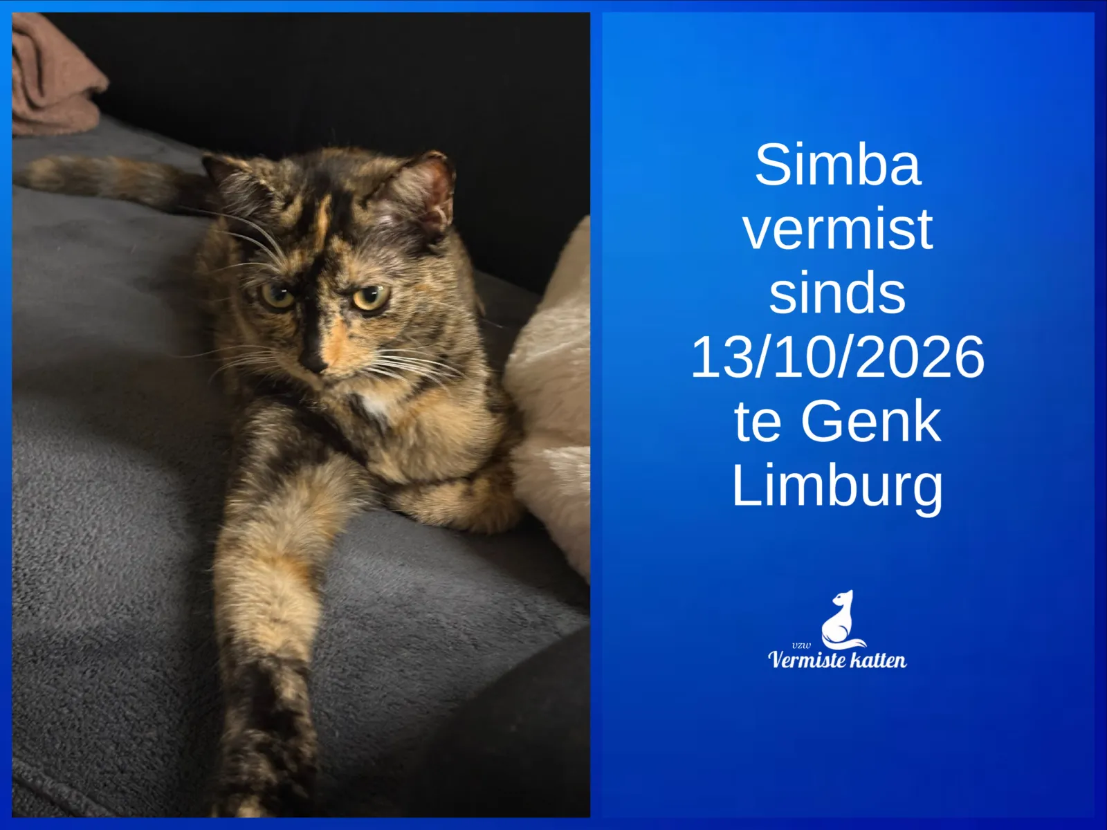 Simba 