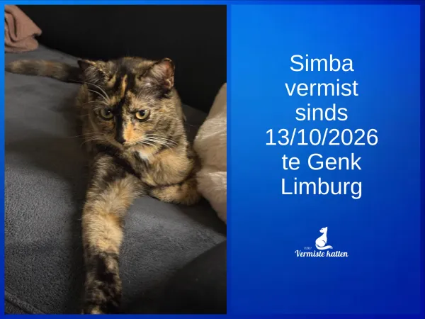 Simba 