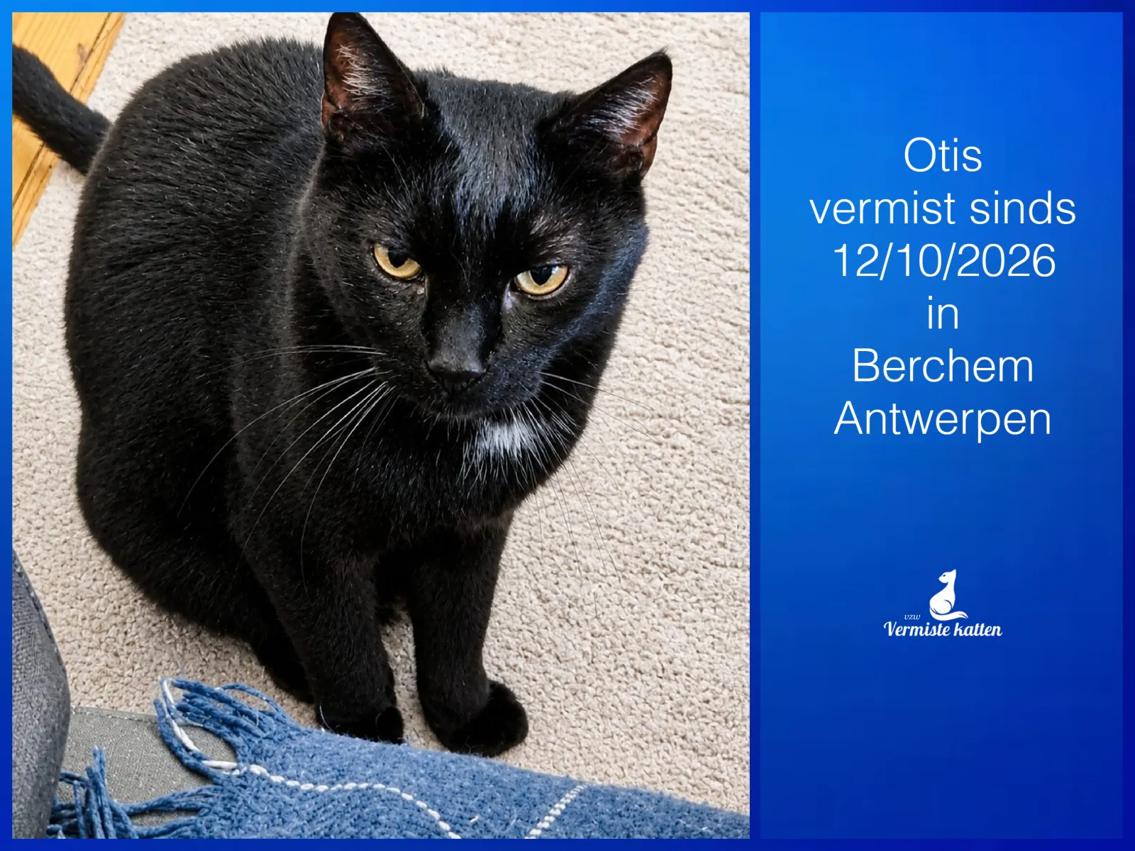 Otis