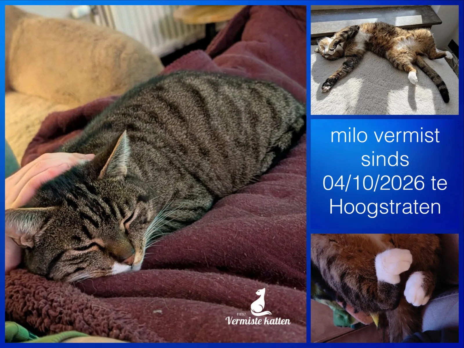 Milo