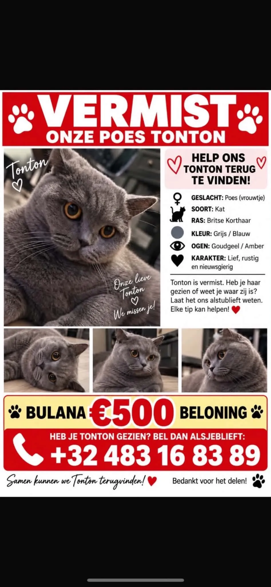 Tonton