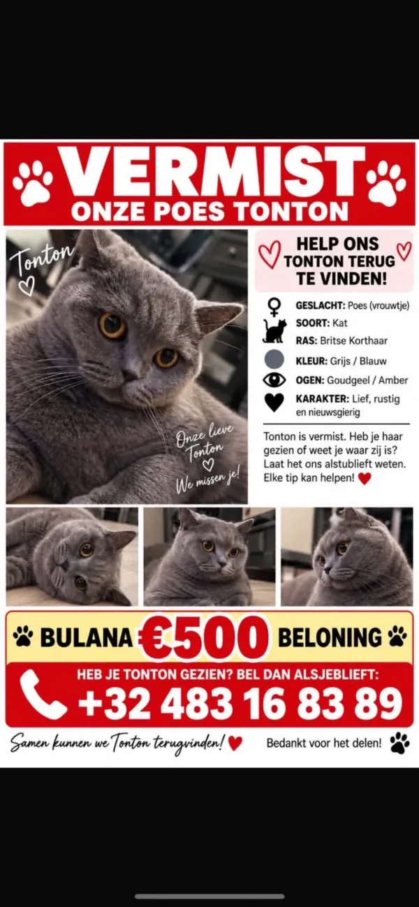 Tonton