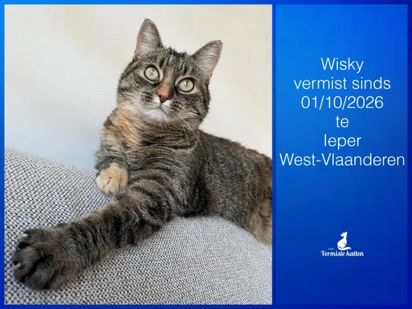 Wisky