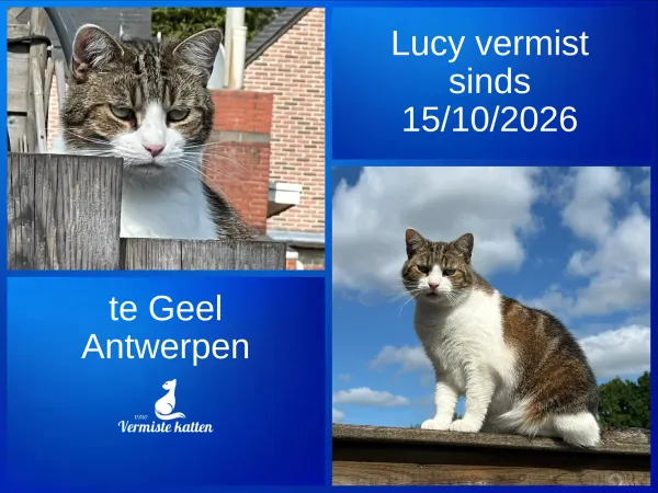 Lucy