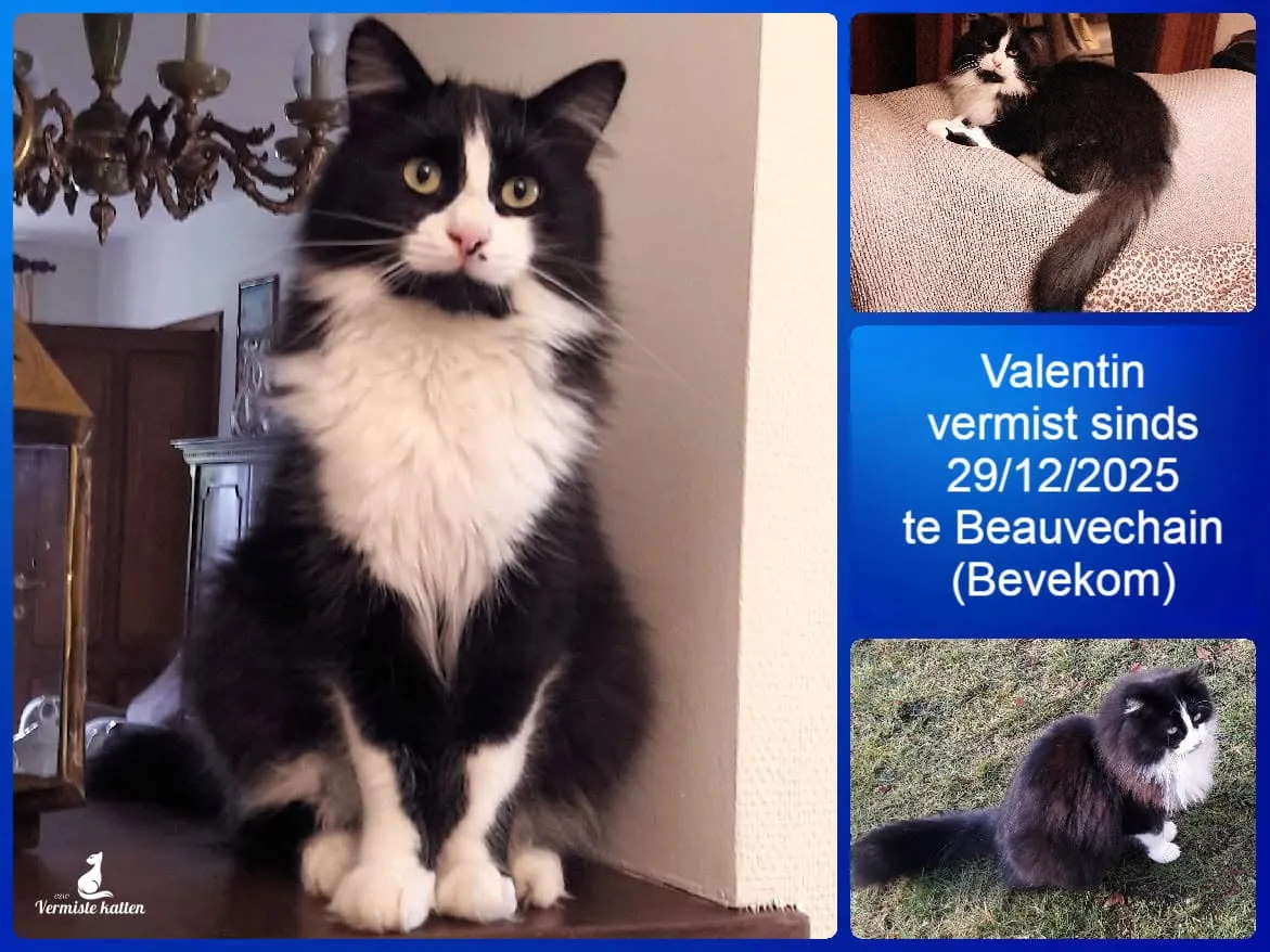 Valentin