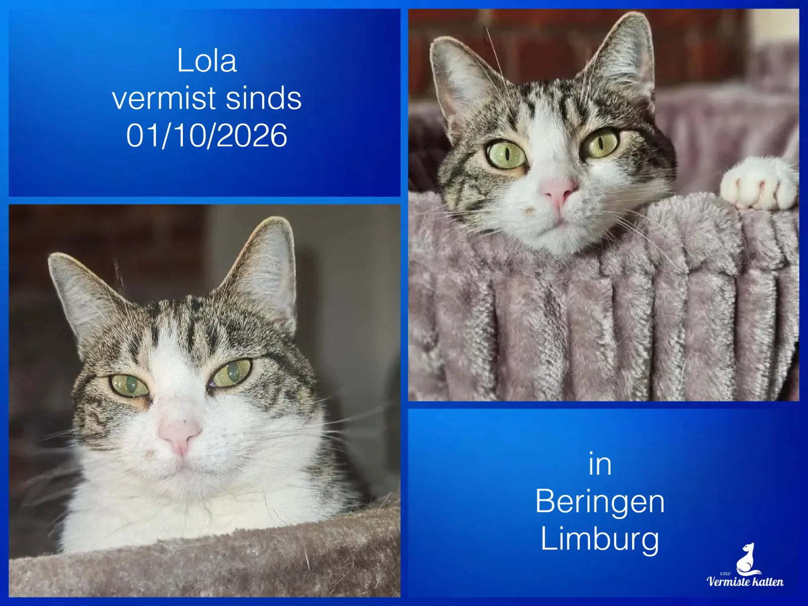 Lola