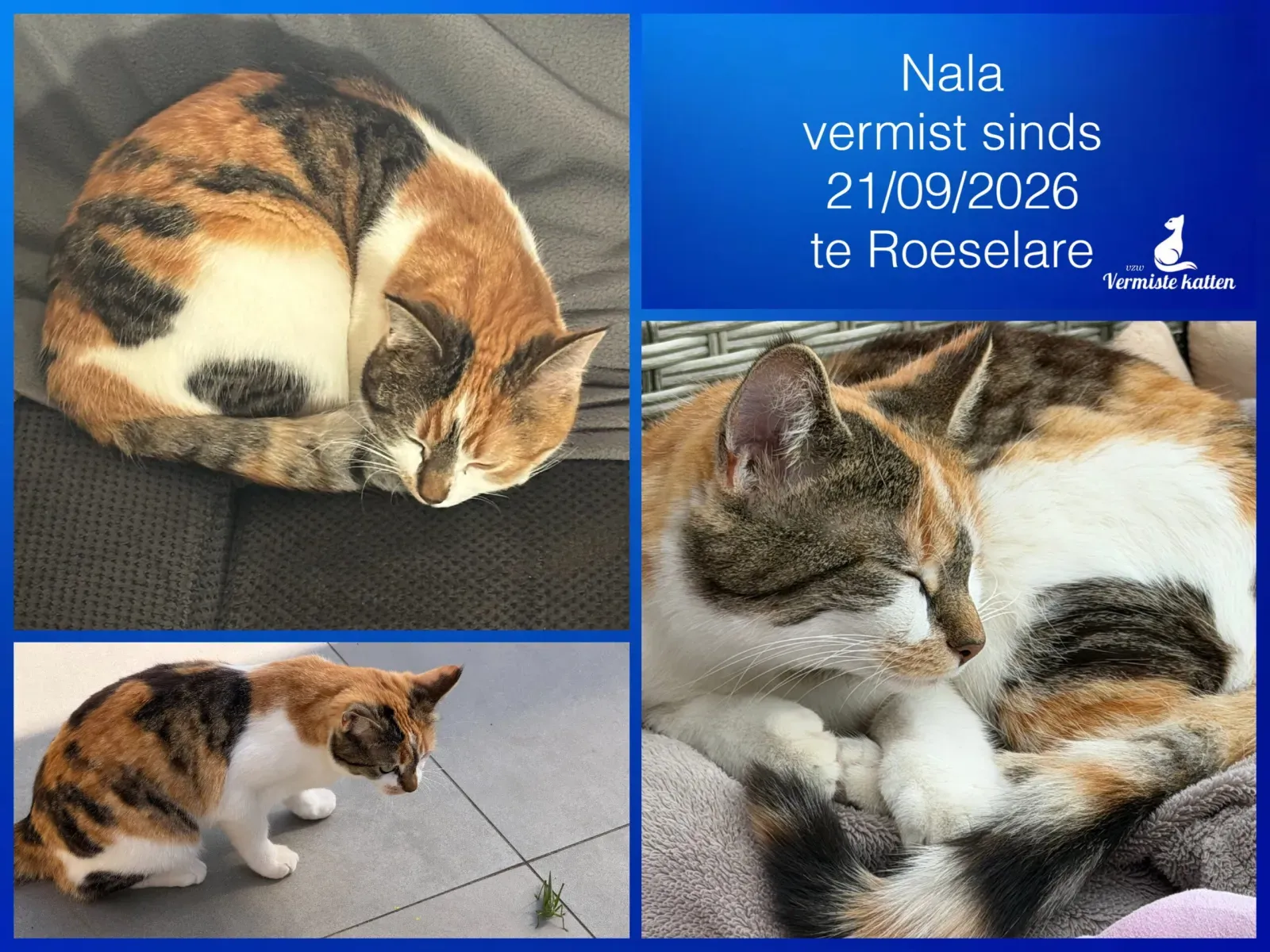 Nala