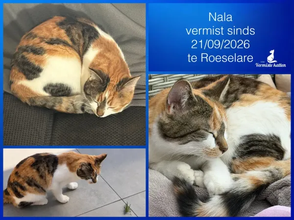 Nala