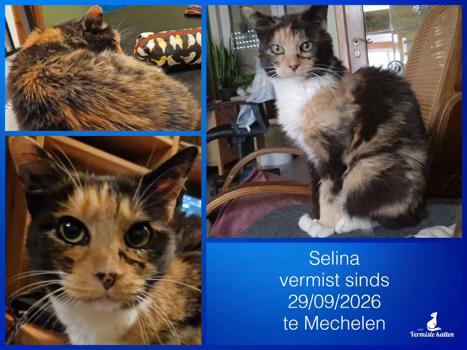 Selina