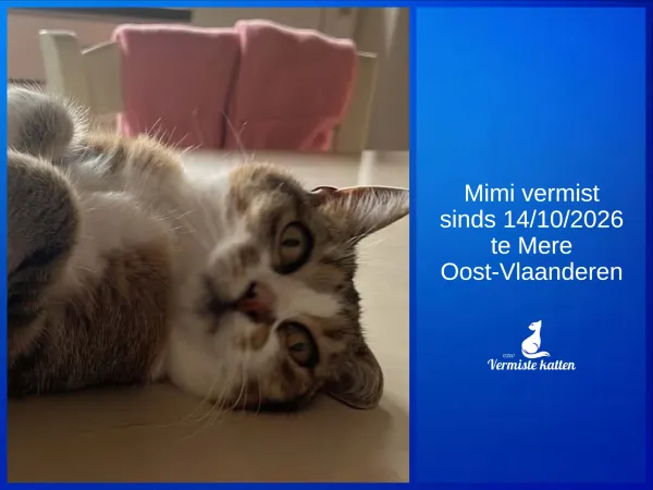 Mimi