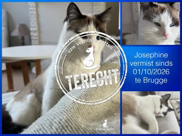 Josephine
