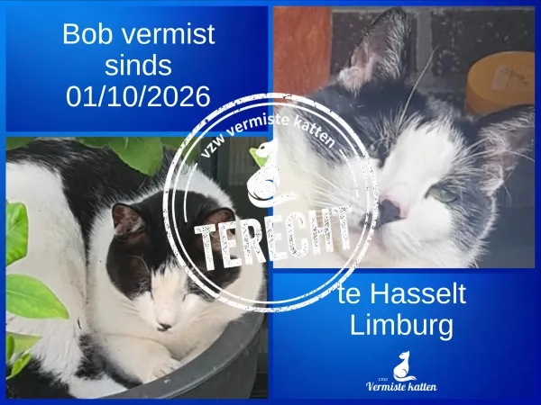 Bob