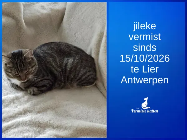 Jileke