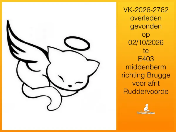 Gevonden kat