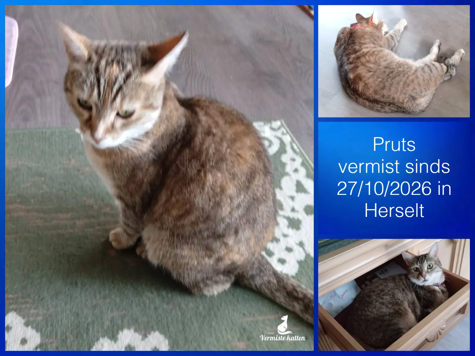Pruts