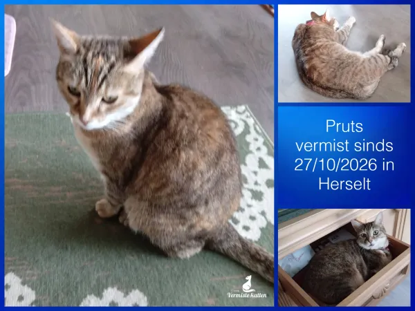 Pruts