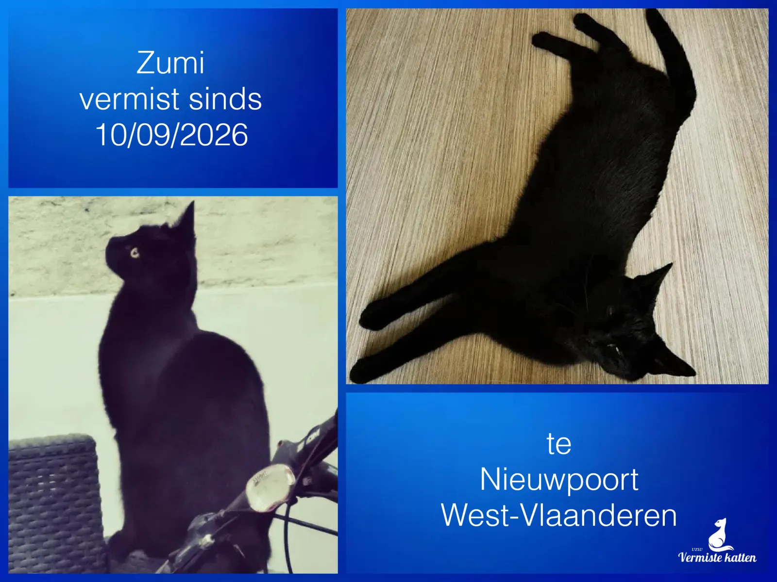 Zumi
