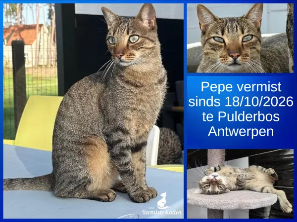Pepe