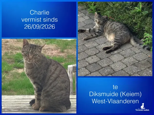 Charlie