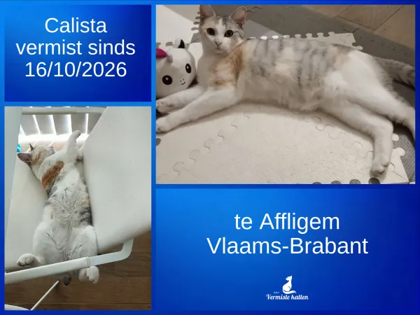 Calista
