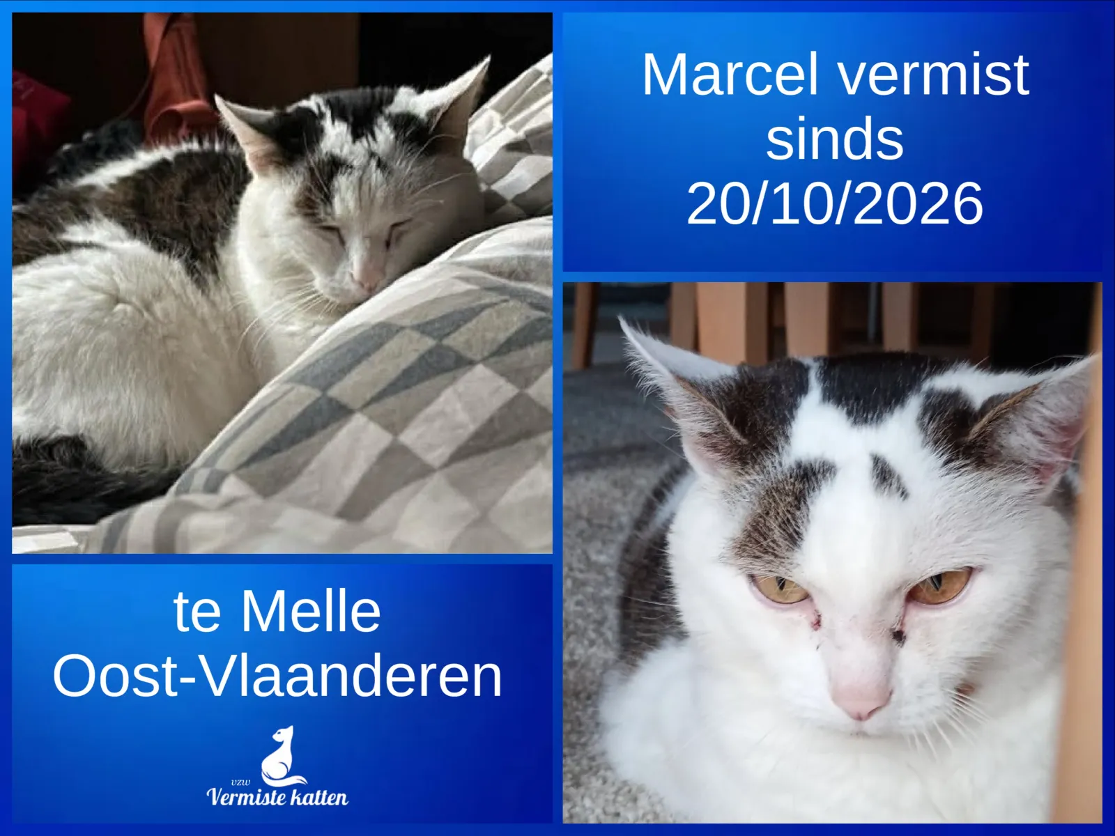 Marcel