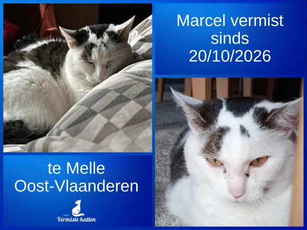 Marcel