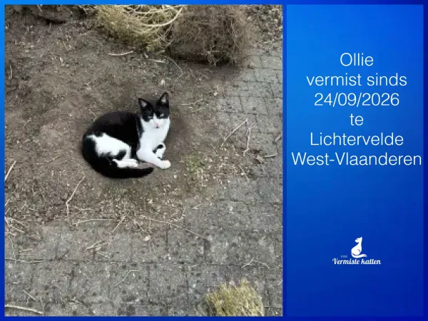 Ollie