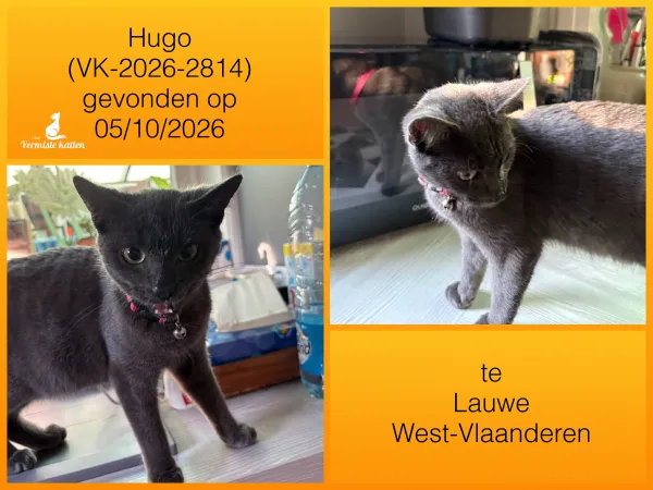 Hugo 