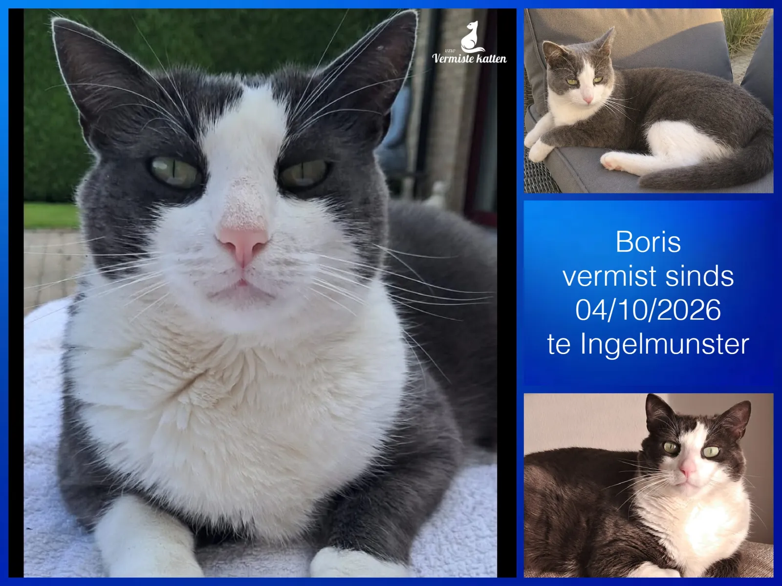 Boris