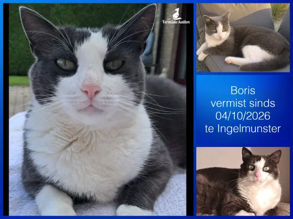 Boris