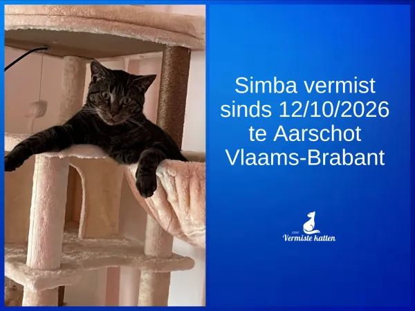 Simba 