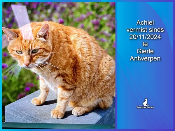 Achiel