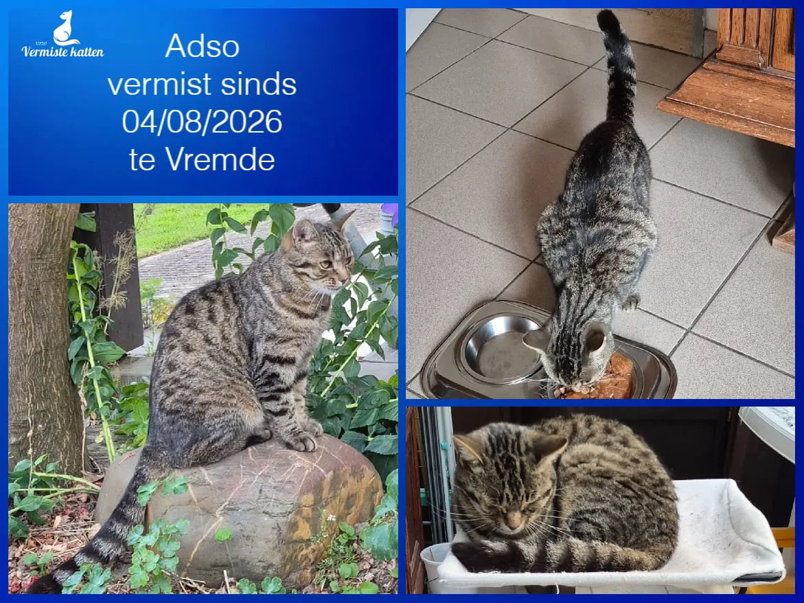 ADSO