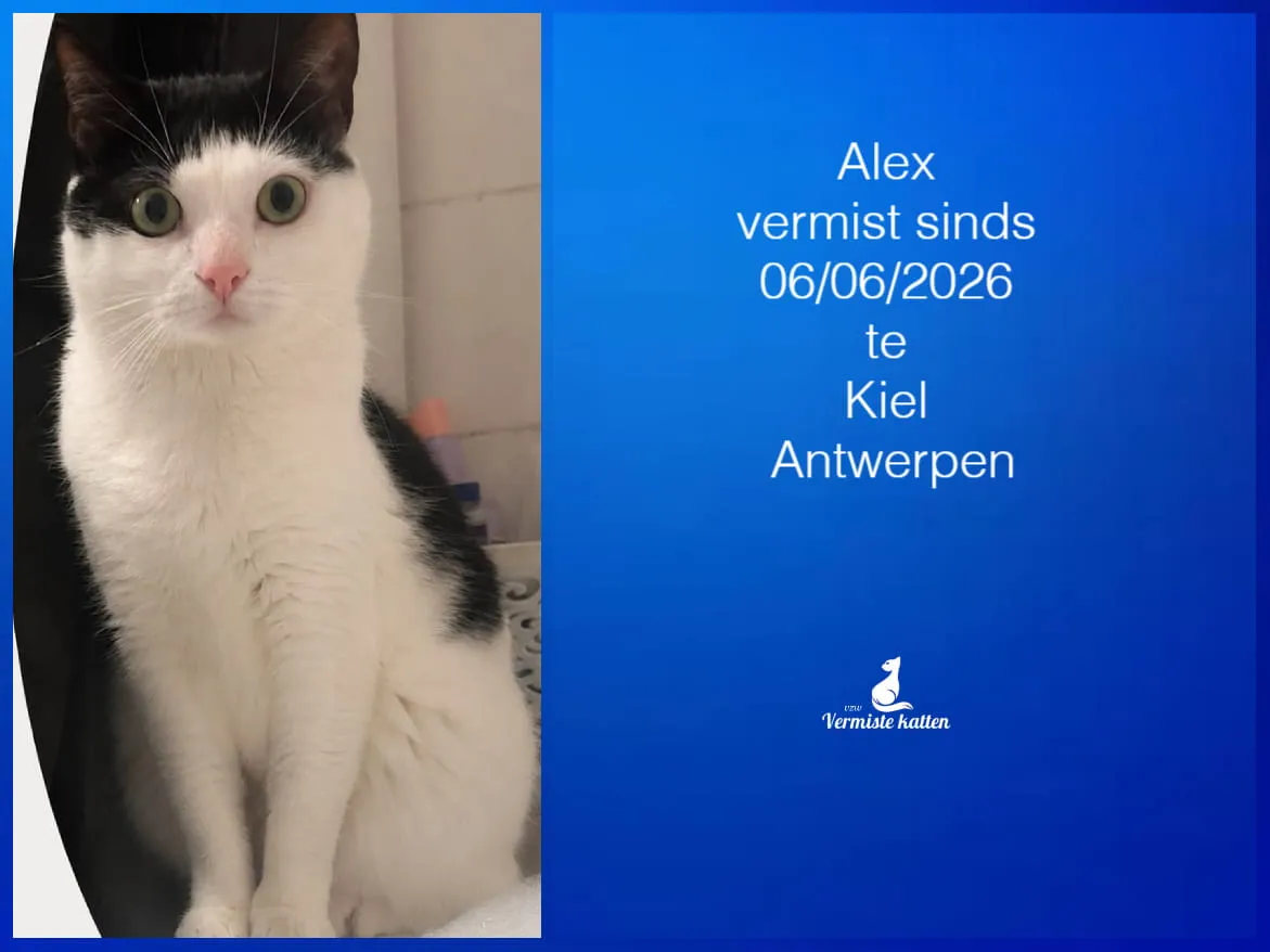 Alex