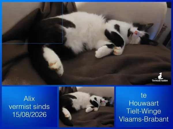 ALIX