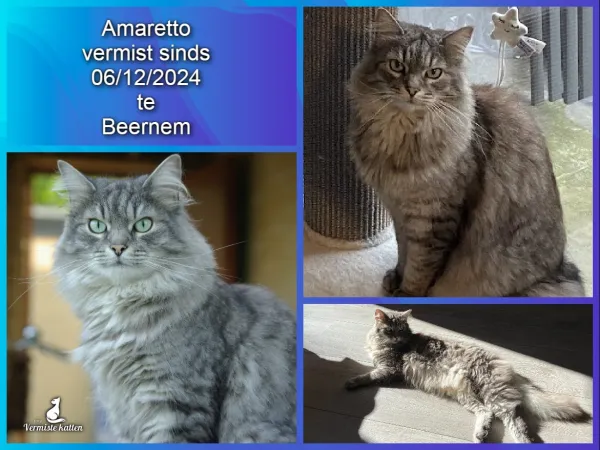 Amaretto