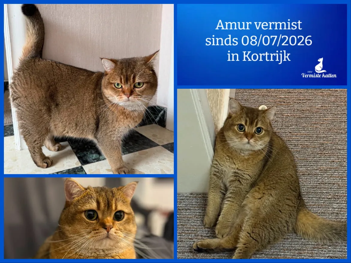 Amur