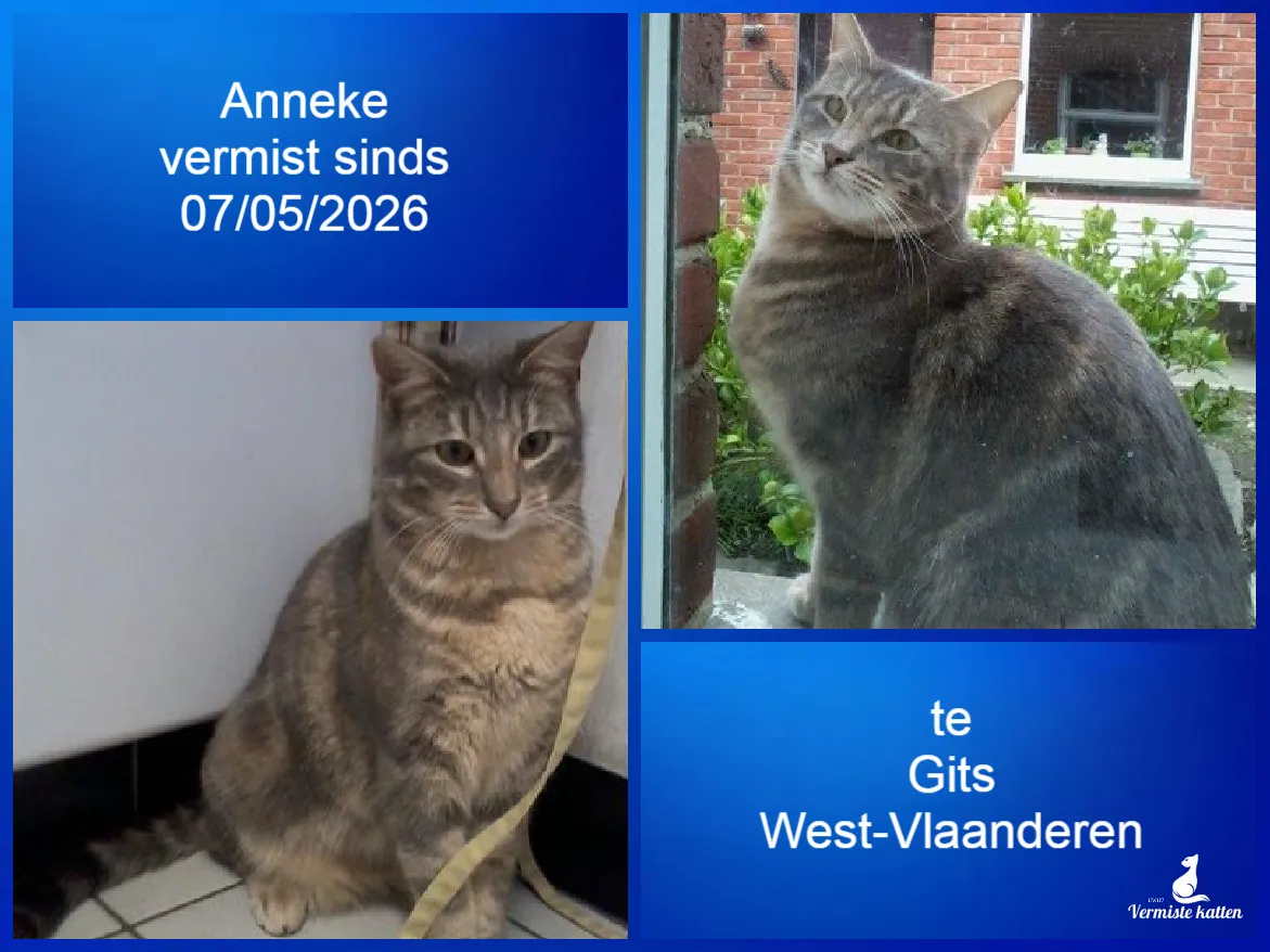 ANNEKE