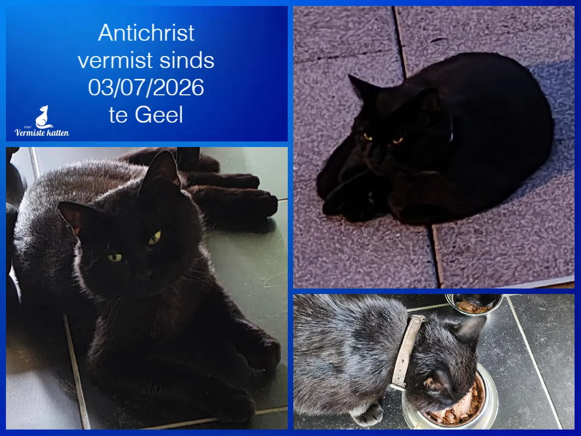 Antichrist