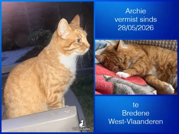 Archie