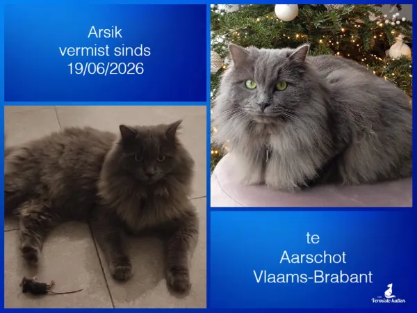 Arsik