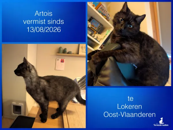Artois