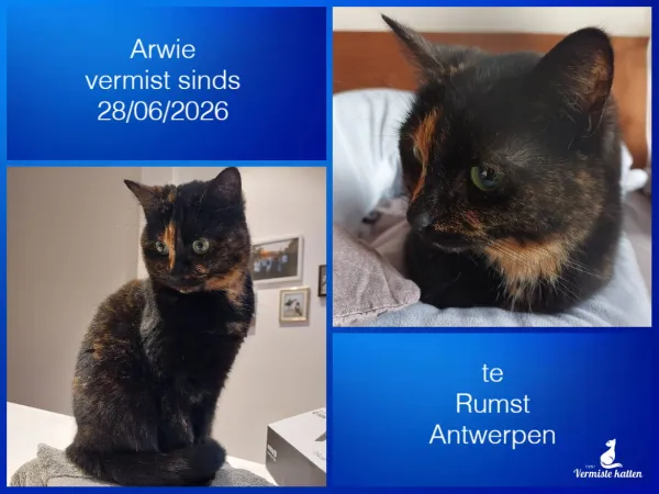 Arwie
