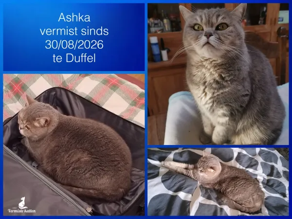 Ashka