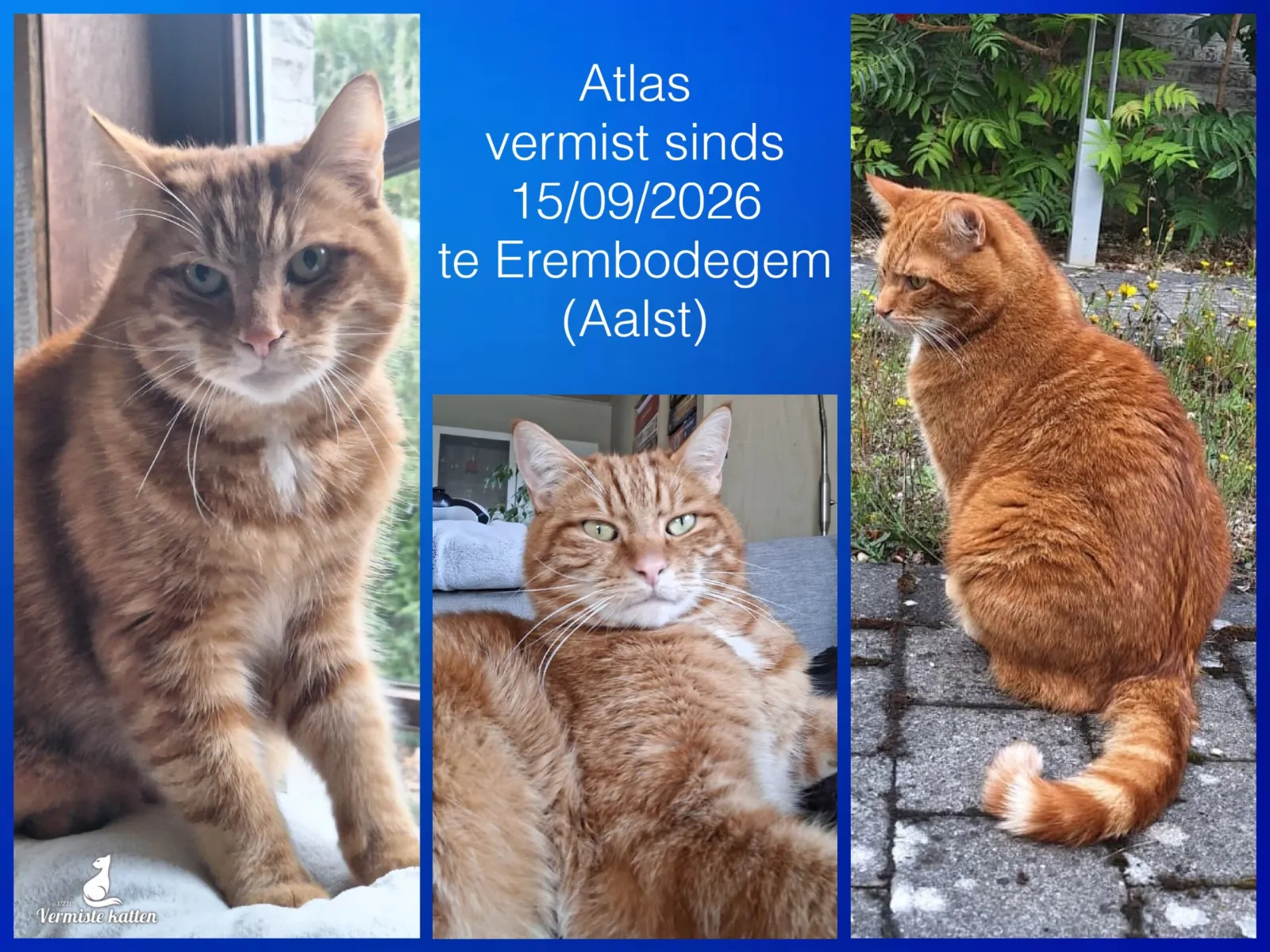 Atlas