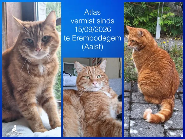Atlas