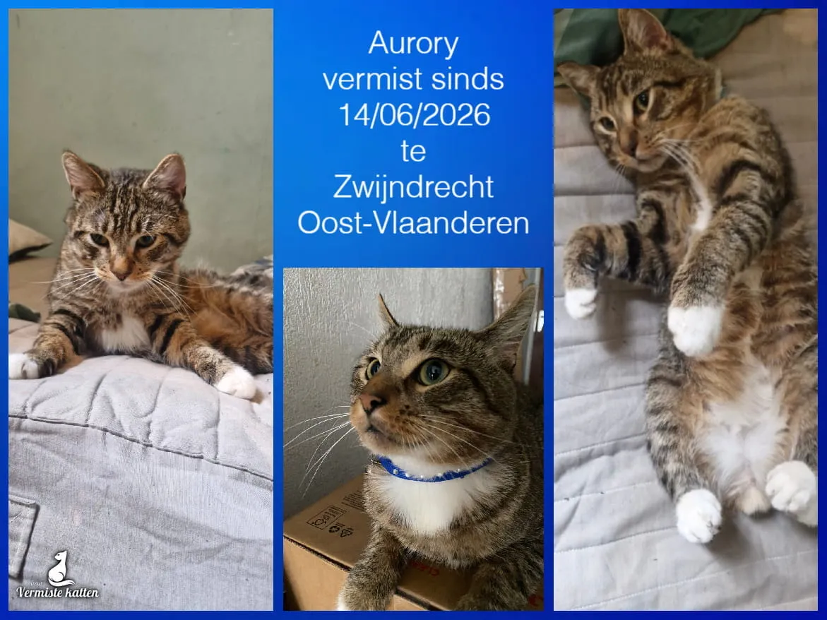 Aurory