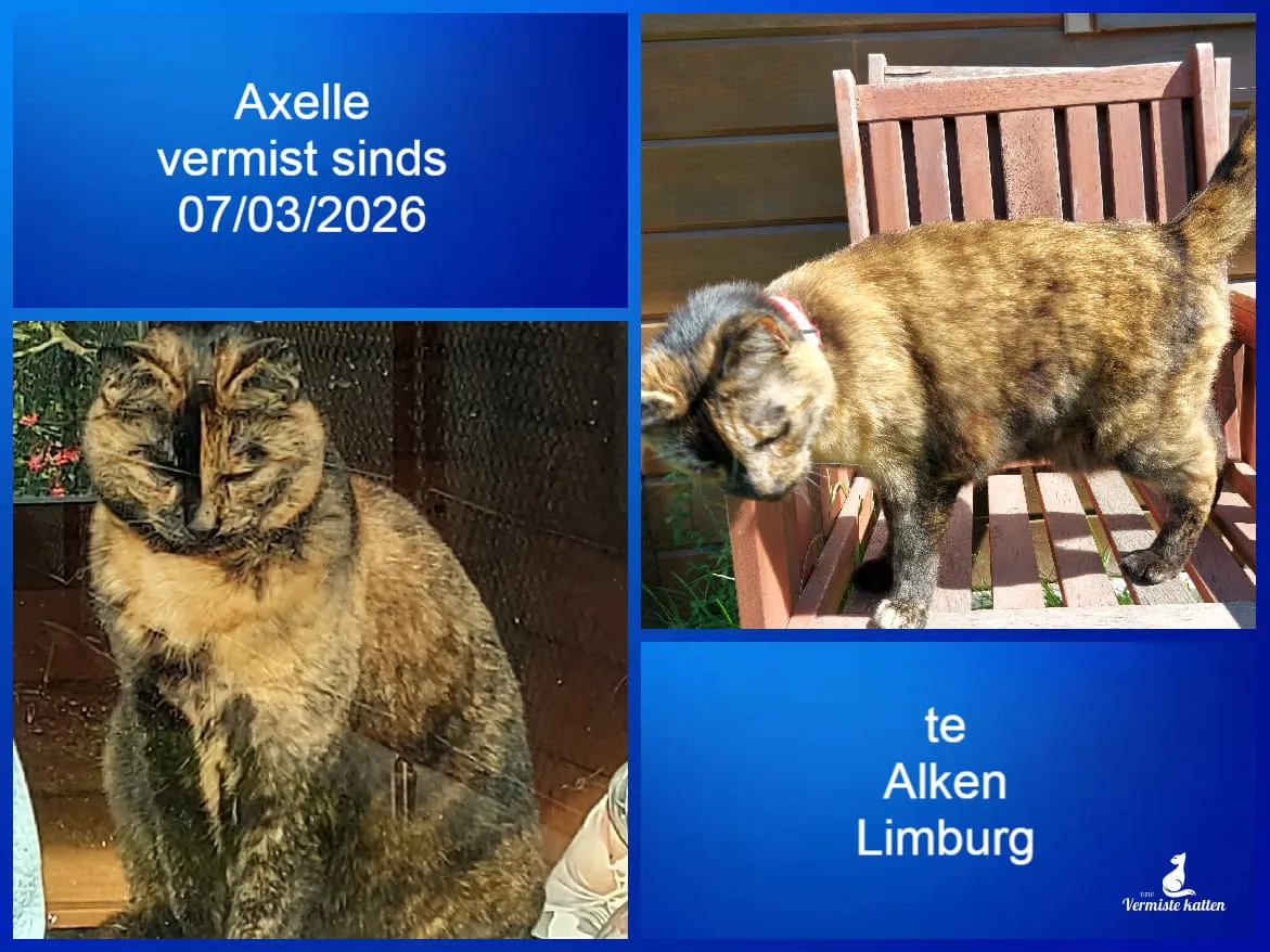 Axelle