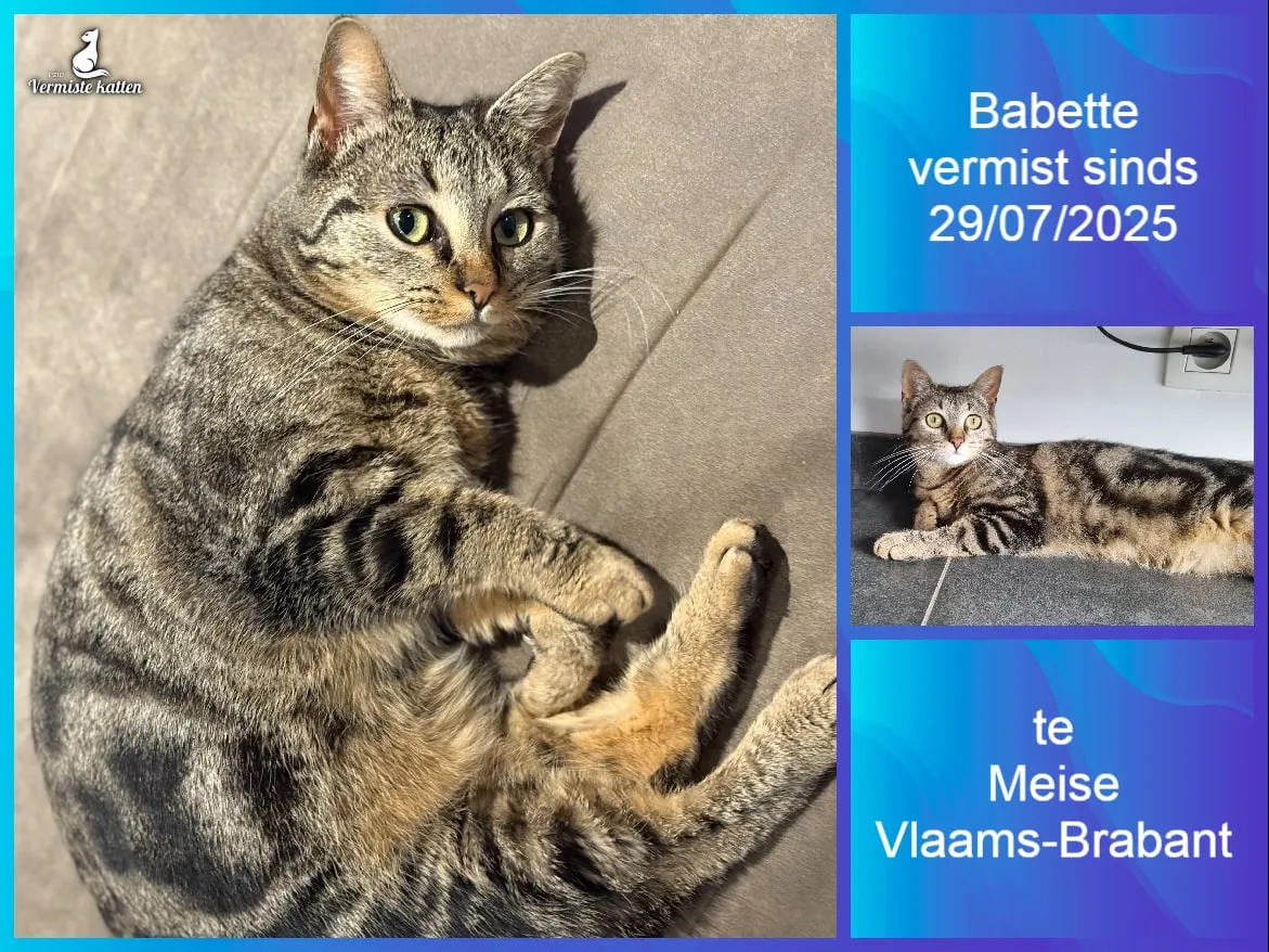 Babette