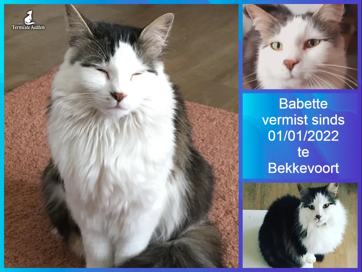 Babette